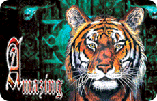 Morphing-Effect-02