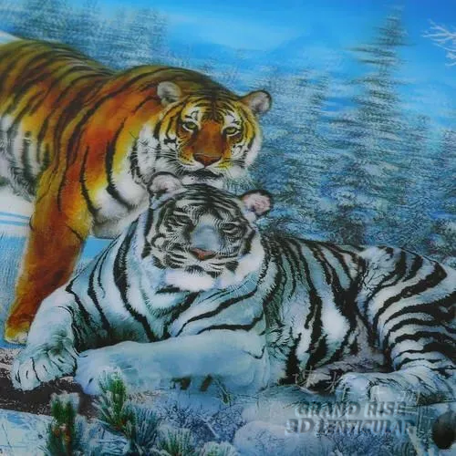 3D_Depth_Tiger_Lenticular