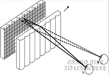 Lenticular_Lens