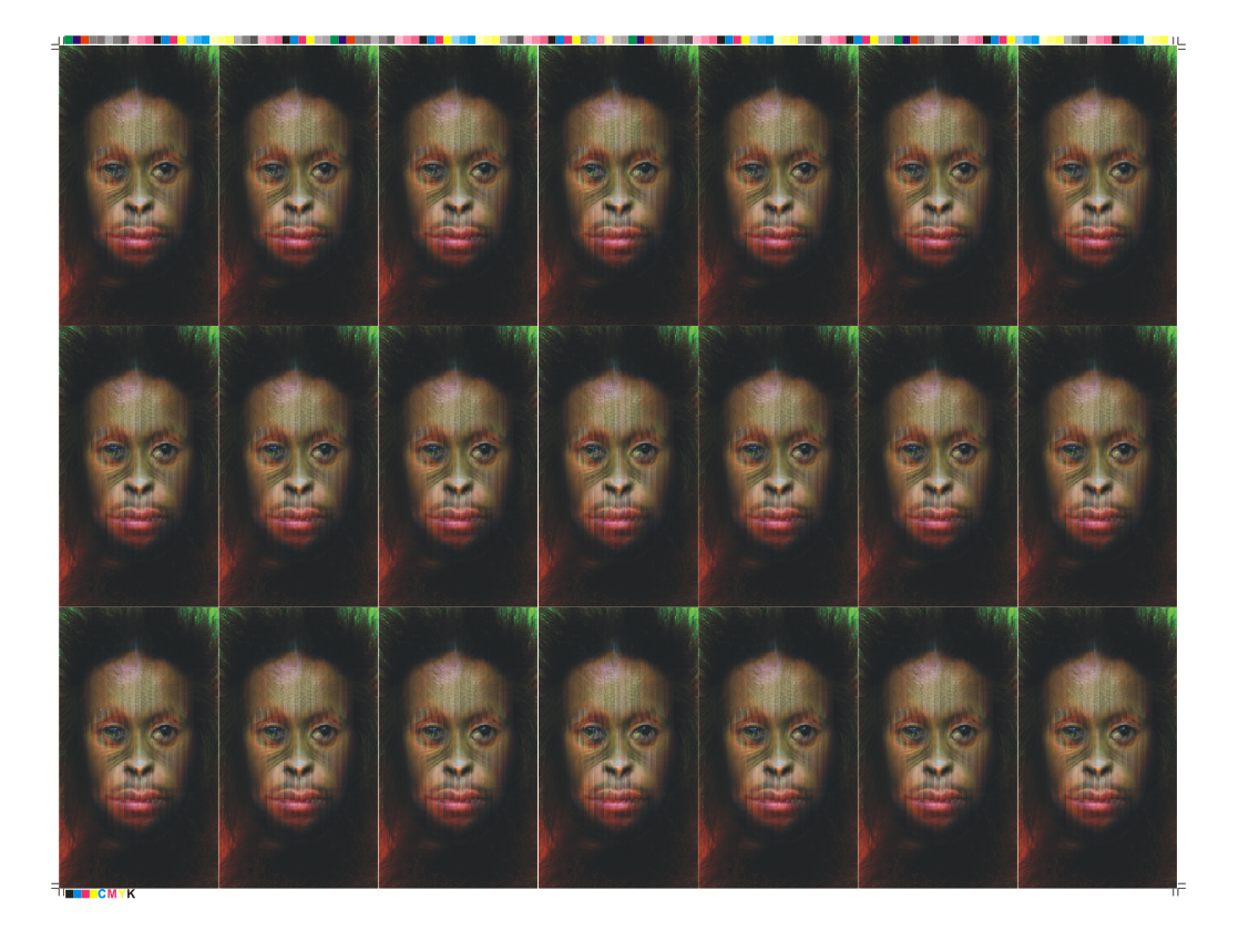 Orangutan_Becomes_Human_Morph_lenticular_Effect_Typeseting
